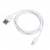 Kábel USB A / Lightning 1.0m AK-USB-30